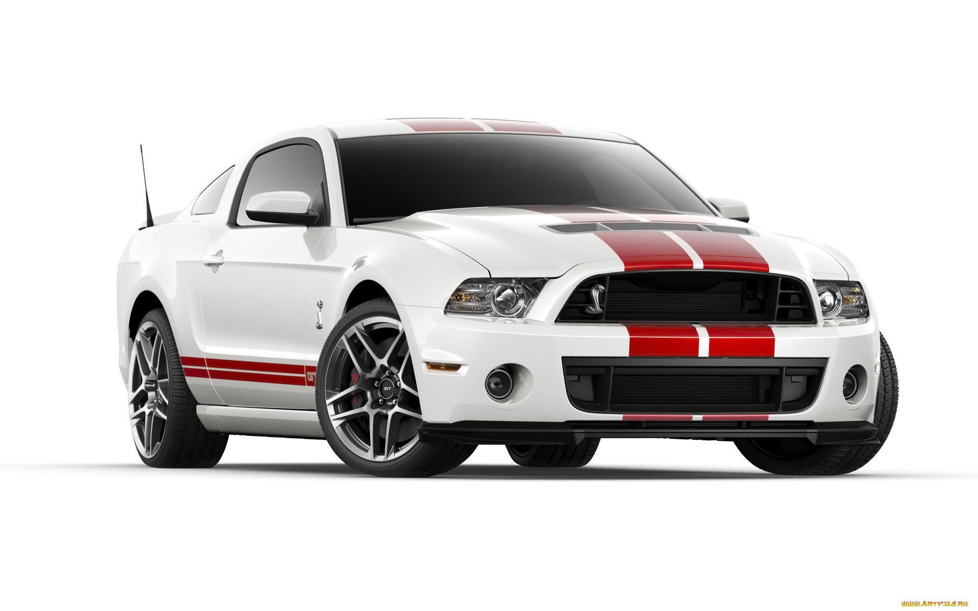 , mustang, ford, shelby, gt500